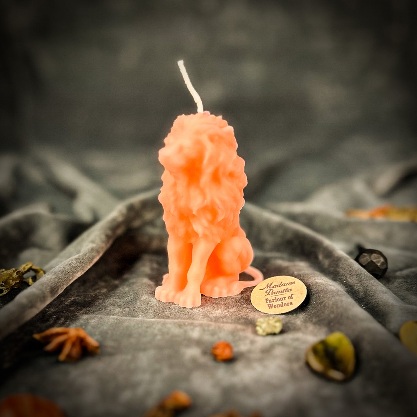 Pink Proud Lion Spell Candle