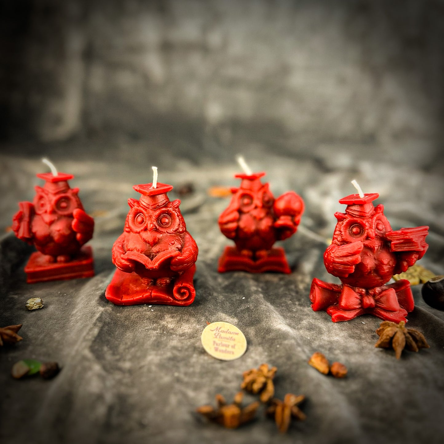 Red School of Owls