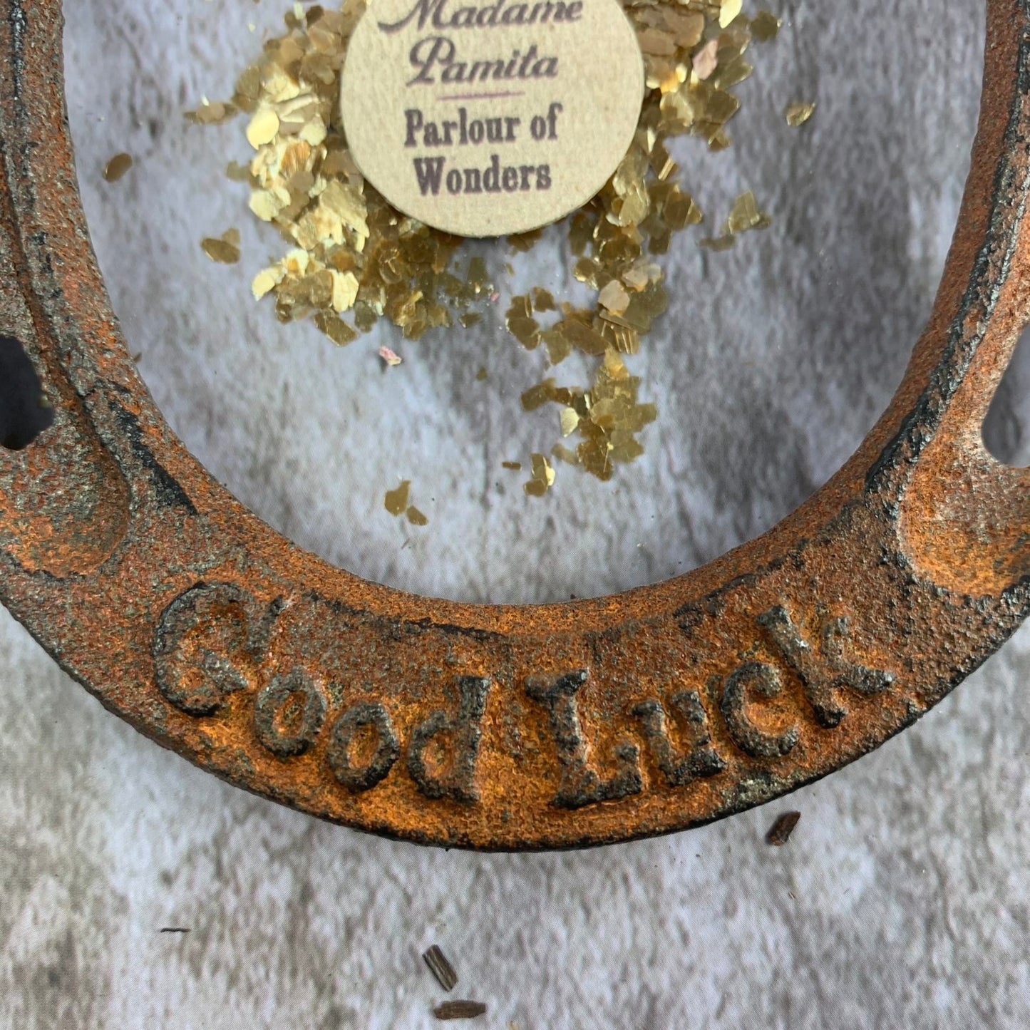 Good Luck Iron Horseshoe