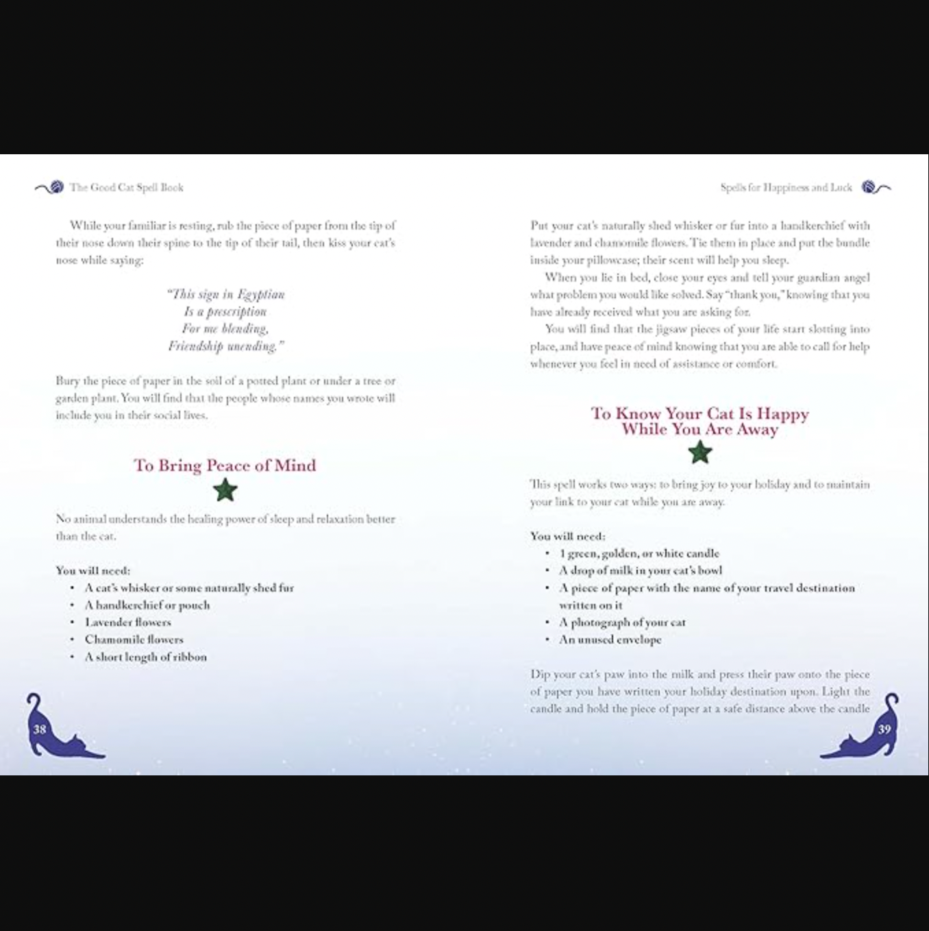 The Good Cat Spell Book