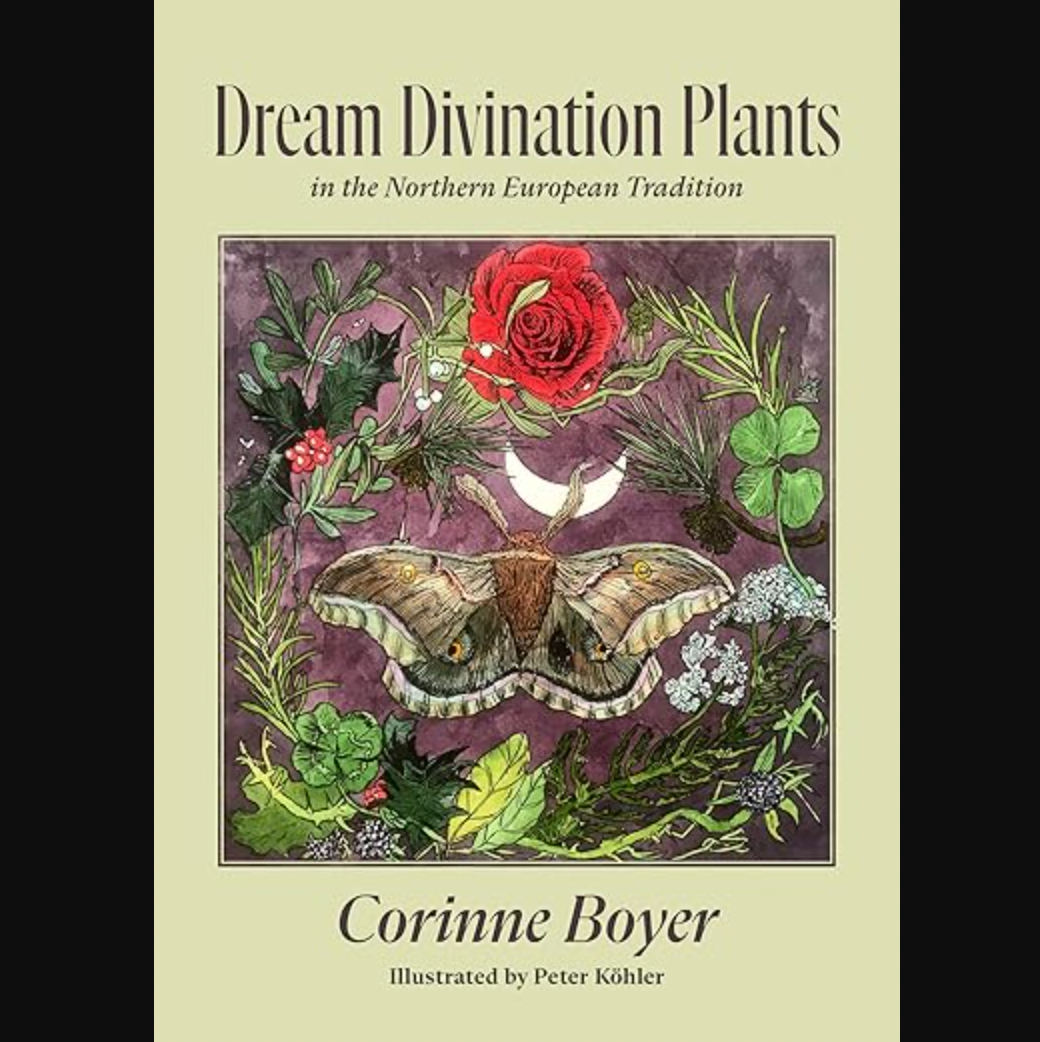 Dream Divination Plants in the Northern European Tradition - Book