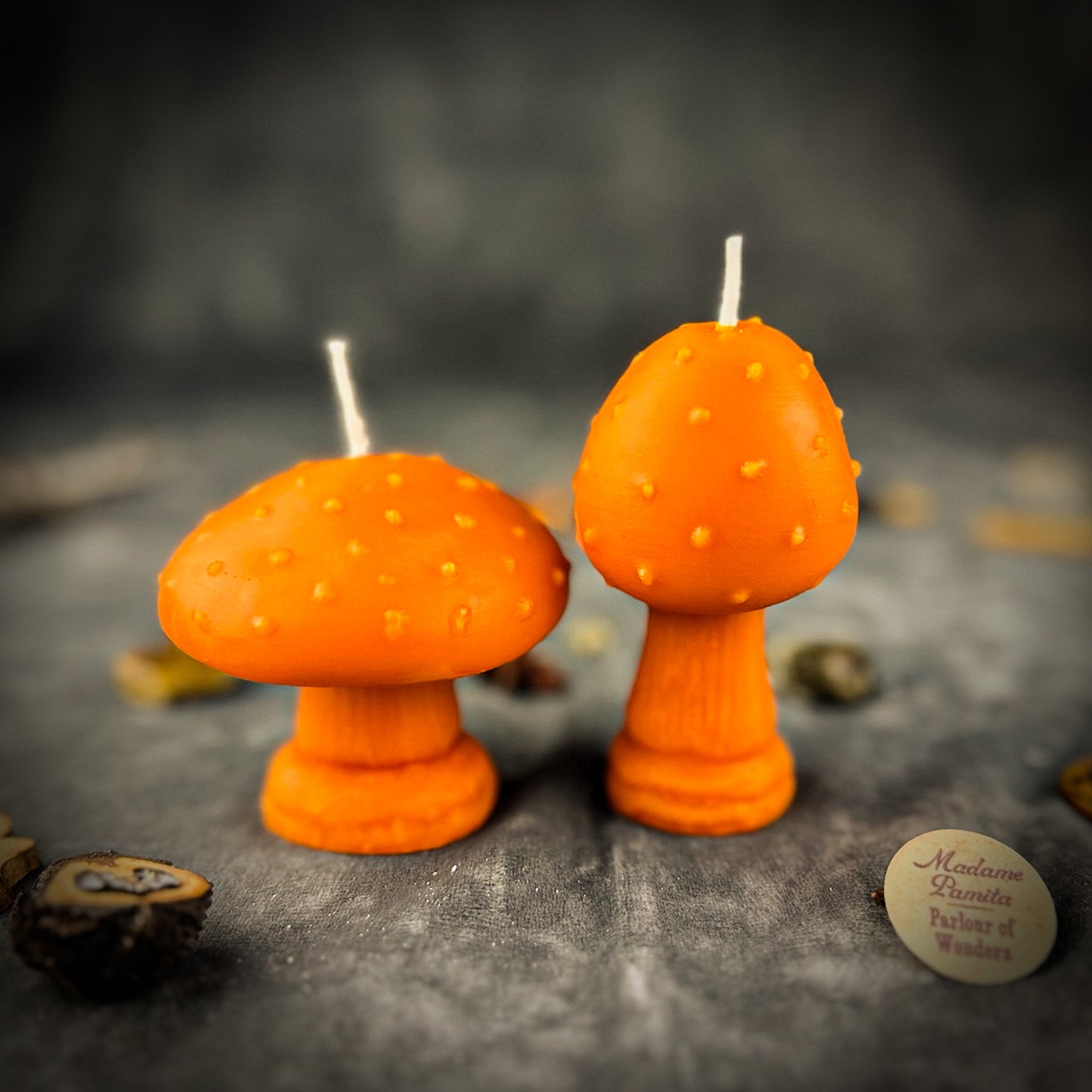 Beeswax Mystical Mushroom Spell Candle Duo