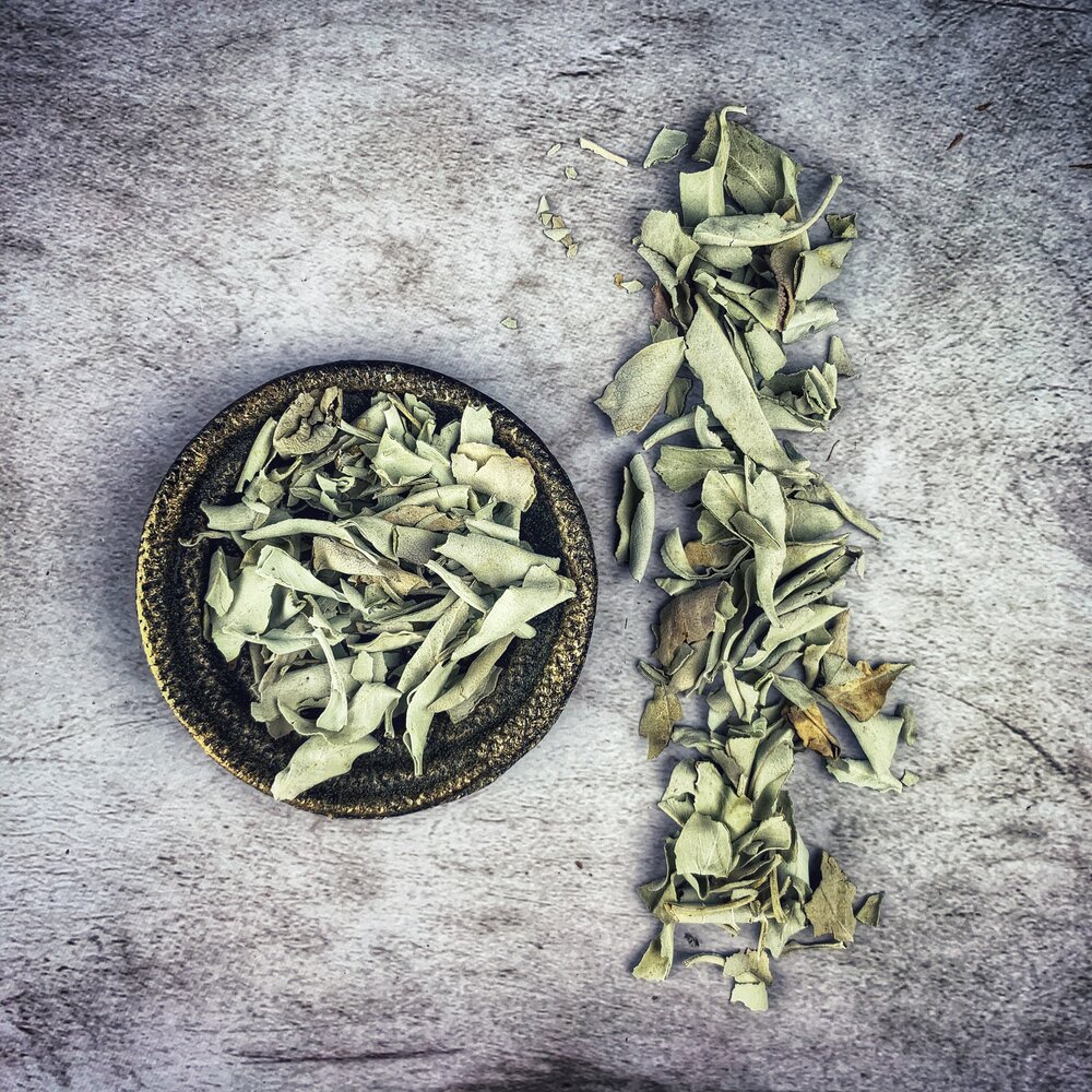 White Sage Loose Leaf - Wildharvested