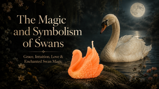 The Magic and Symbolism of Swans