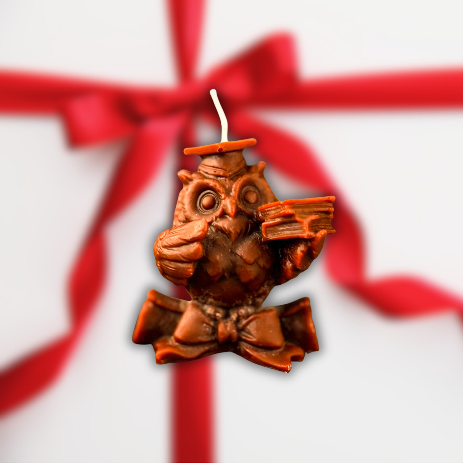 For Witches Who Love to Learn