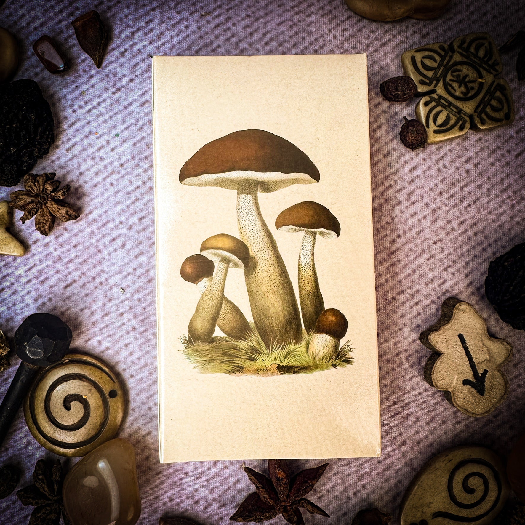 Magic Mushrooms Matches