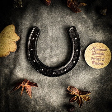 Mini Lucky Horseshoe