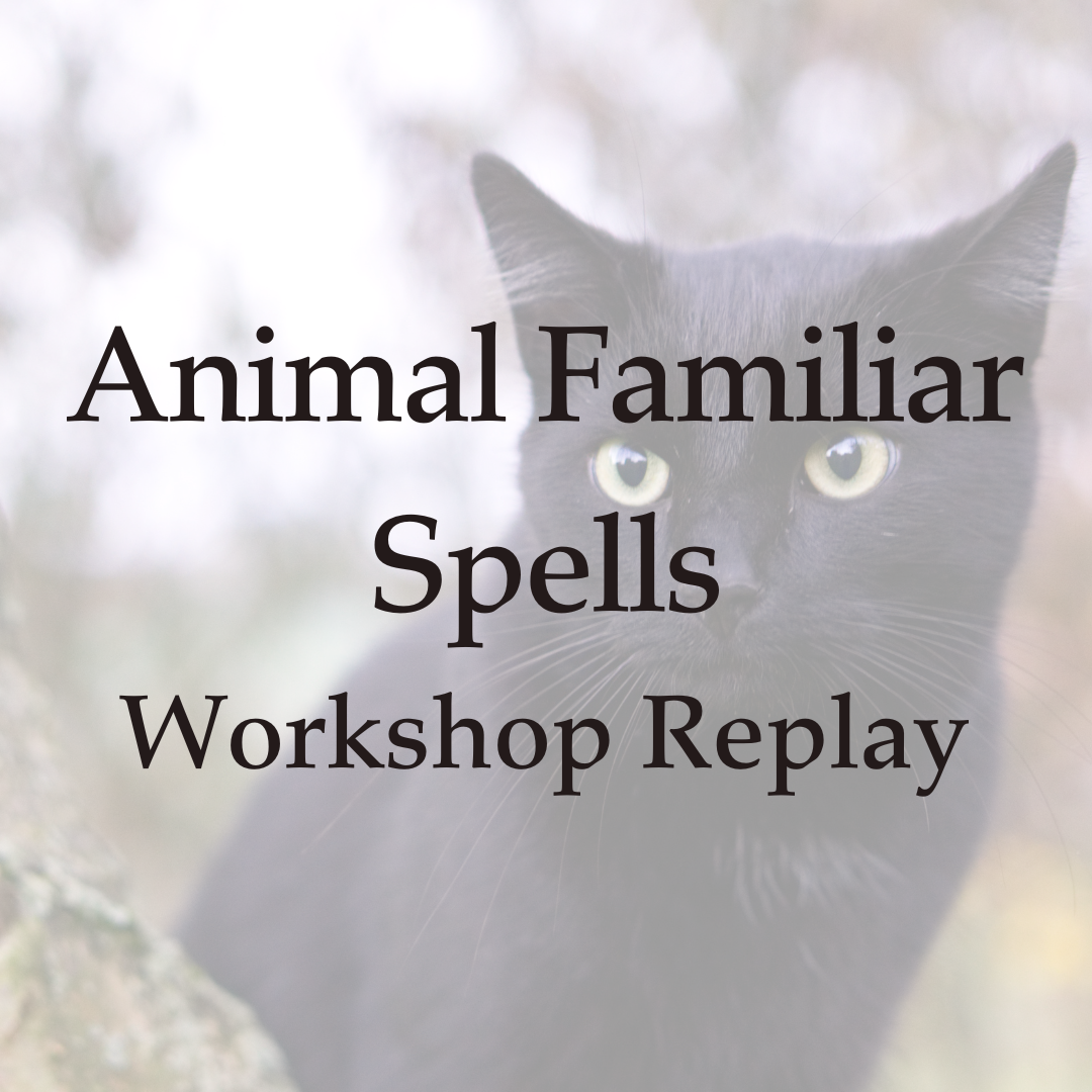 Animal Familiar Spells - Workshop Replay