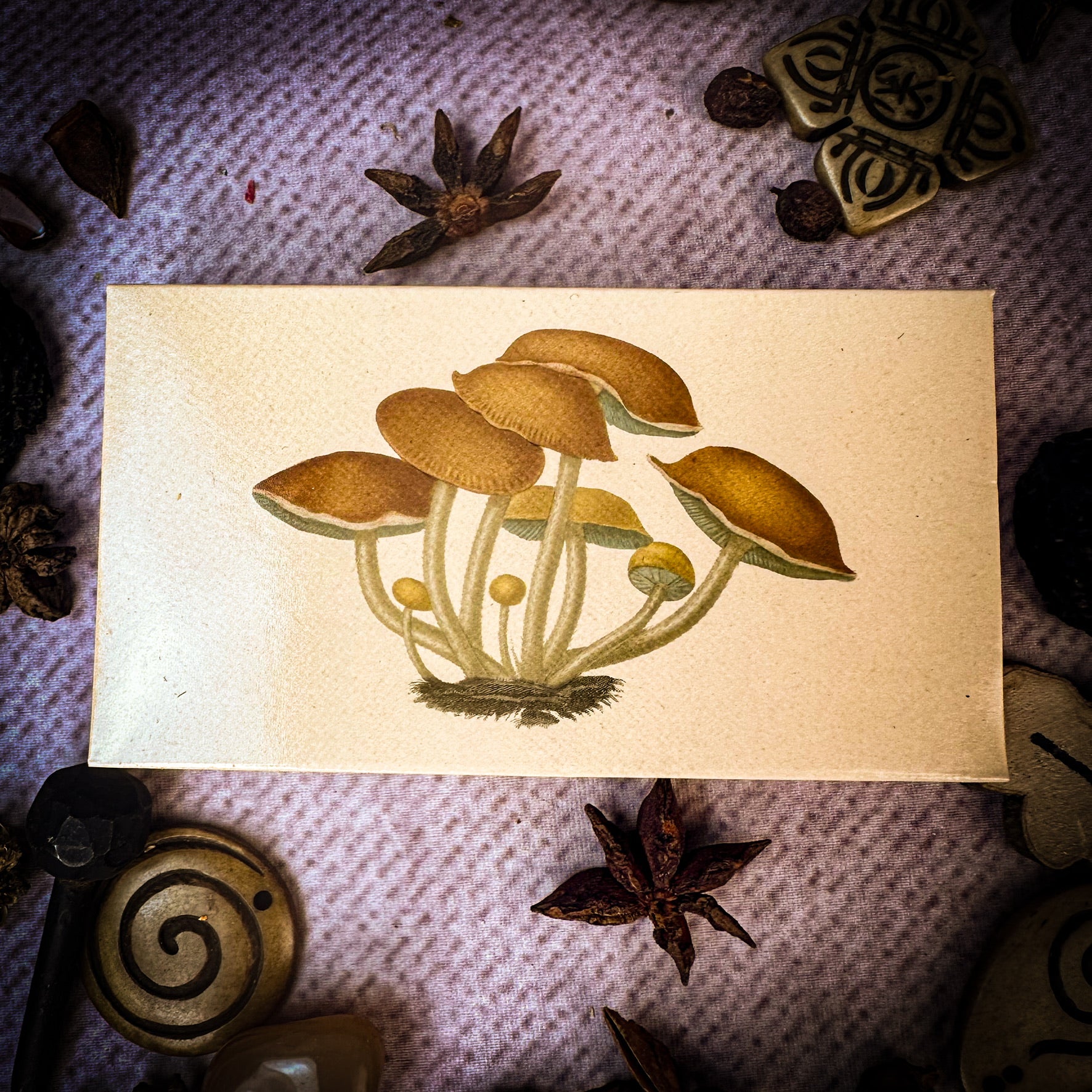 Magic Mushrooms Matches