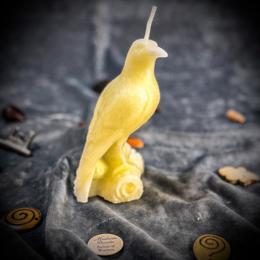 Raven Magic White