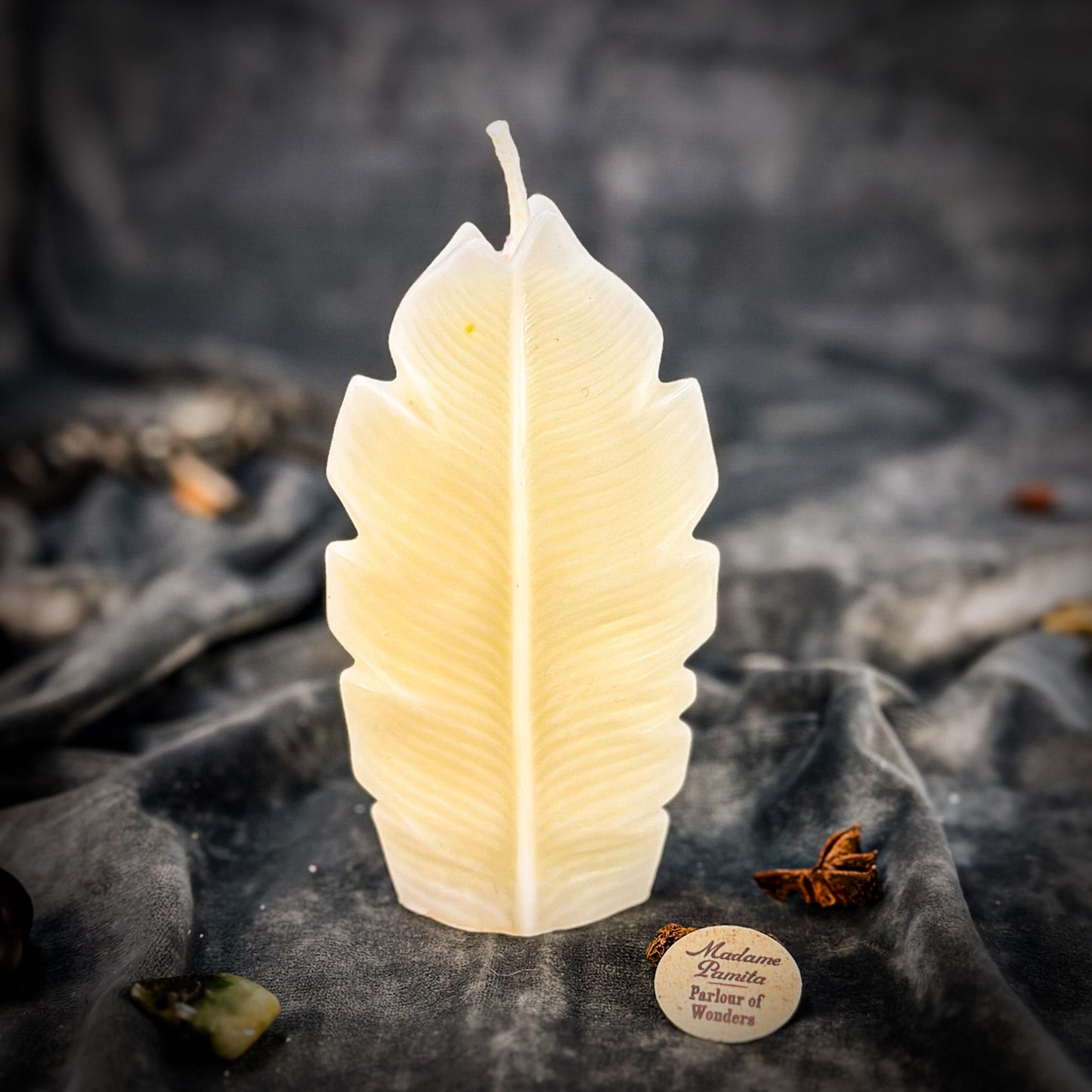 White Plant Candle