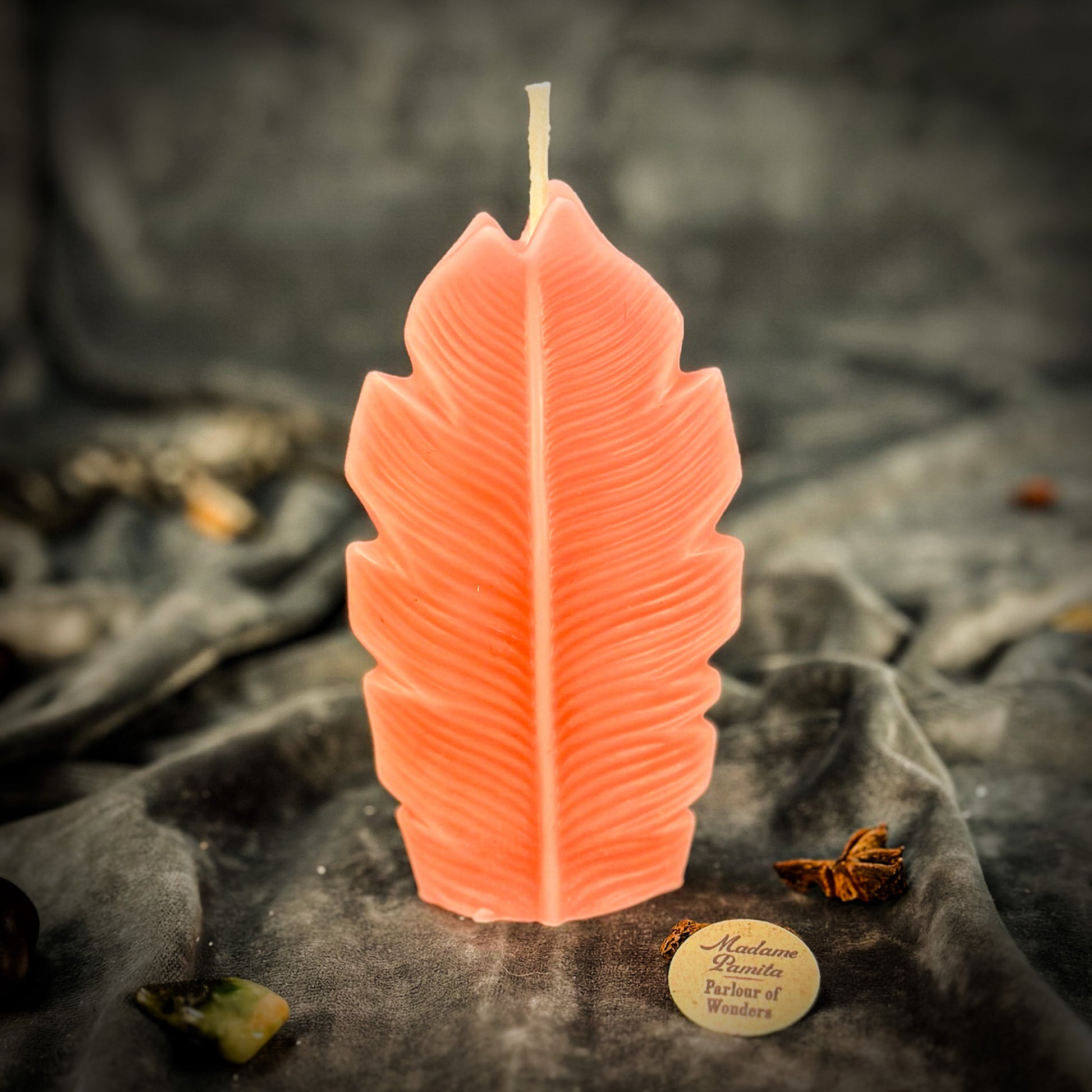 Plant Candle Pink
