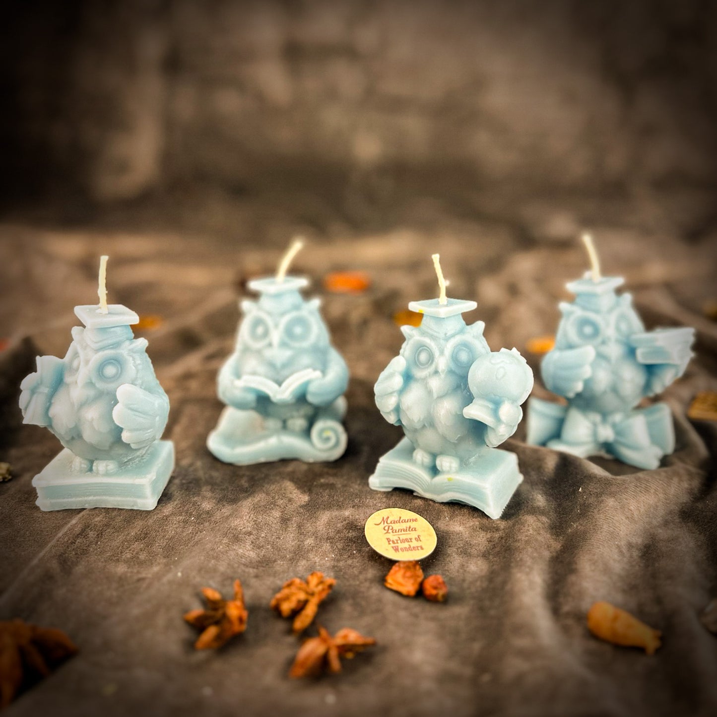 Beeswax School of Owls Spell Candle Set