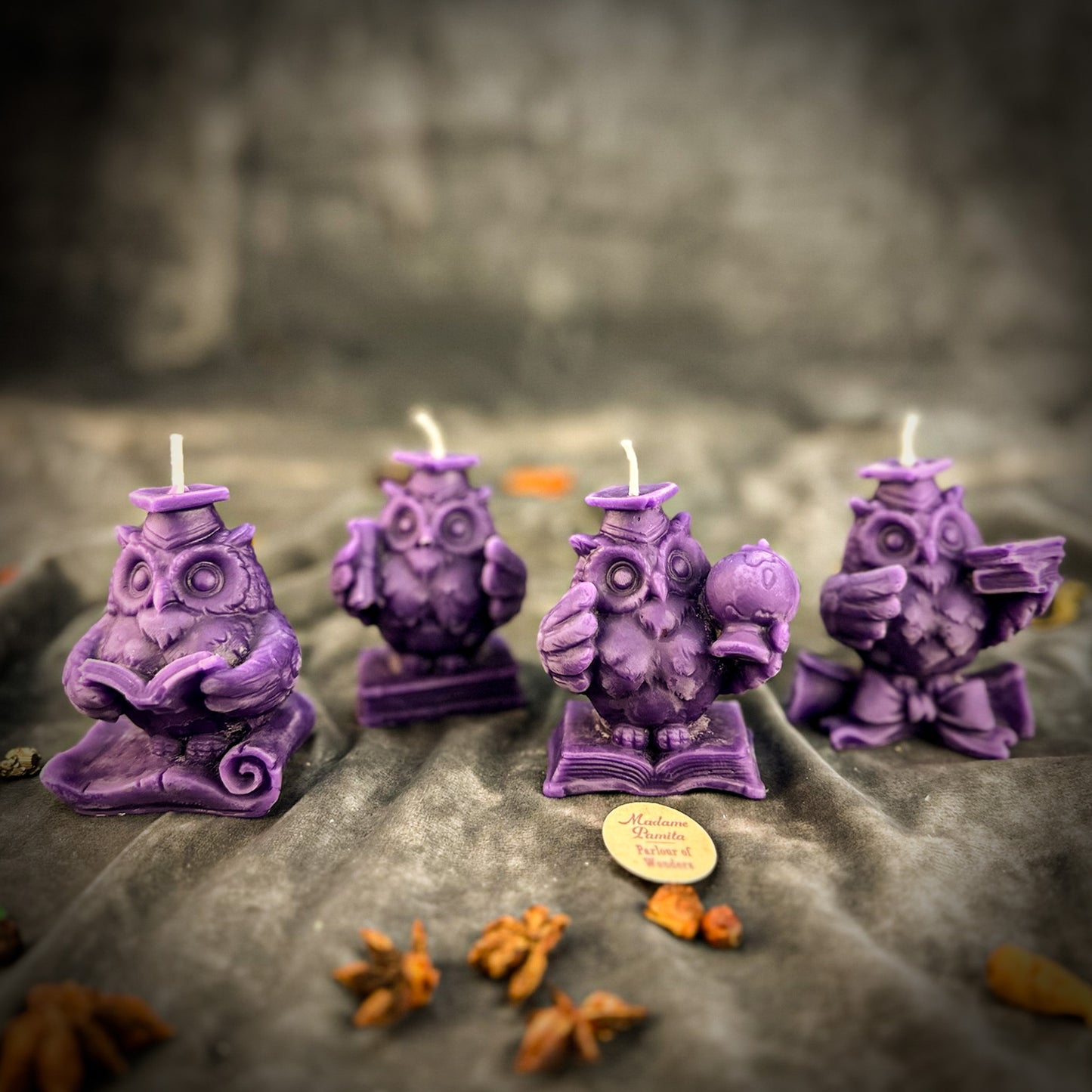 Beeswax School of Owls Spell Candle Set