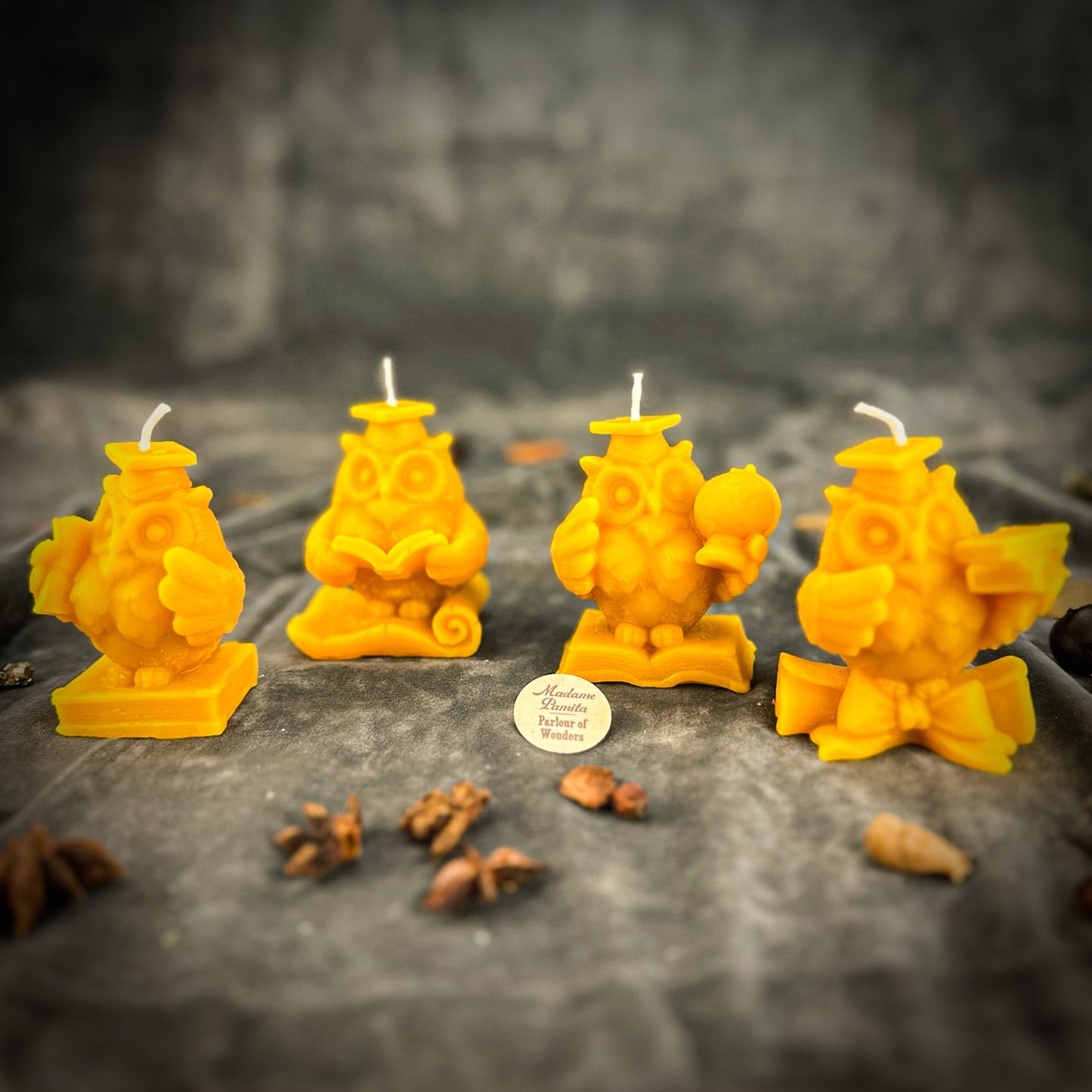Yellow Beeswax School of Owls 