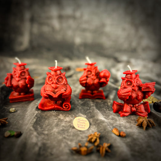 Red School of Owls 