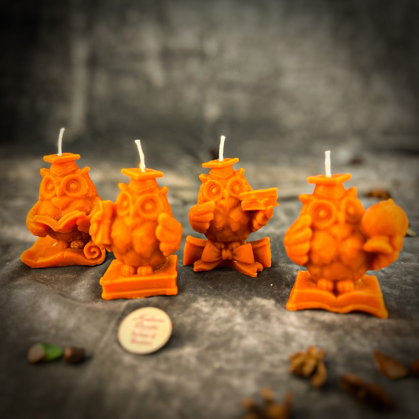 Orange School of Owls Set 