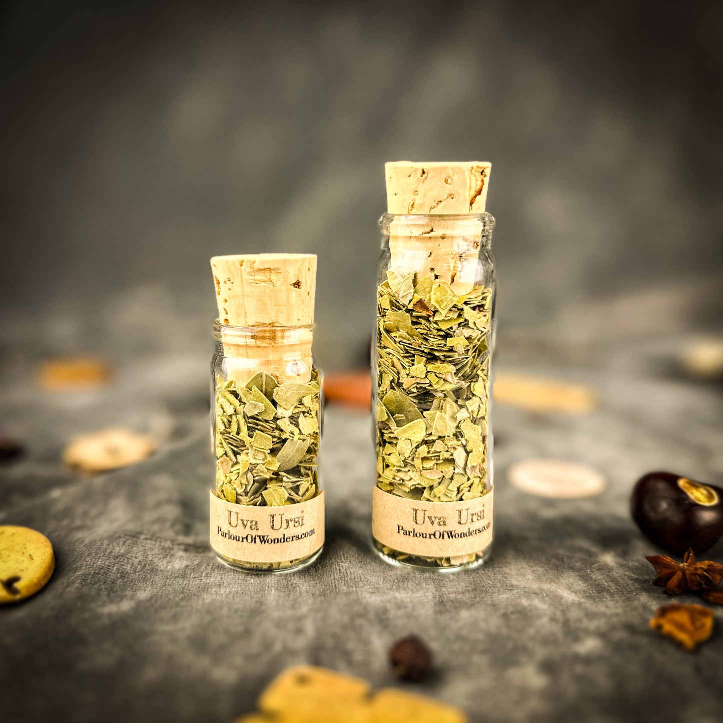 Uva Ursi Organic - Bearberry for Psychic Visions & Protection