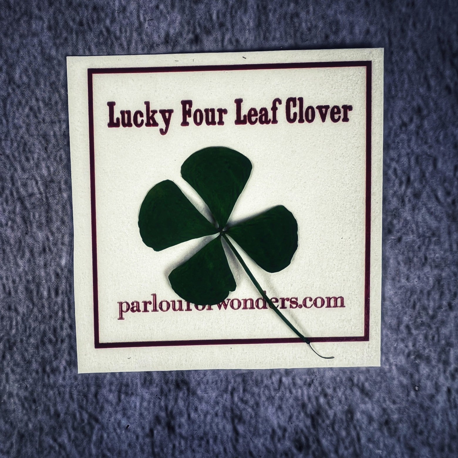 Lucky Four Leaf Clover
