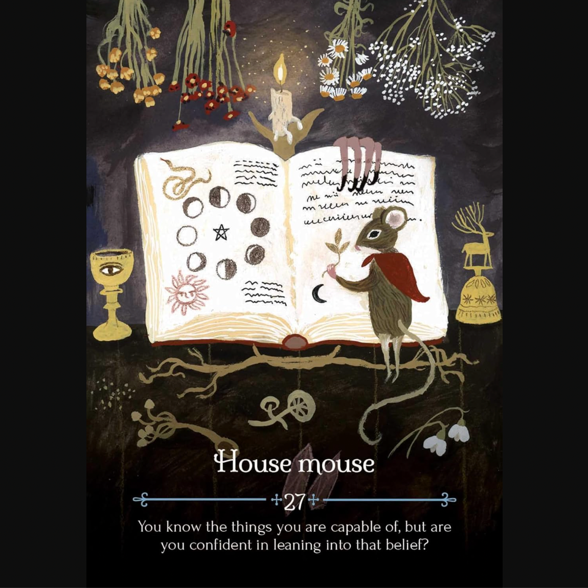 House Mouse Imbolc 