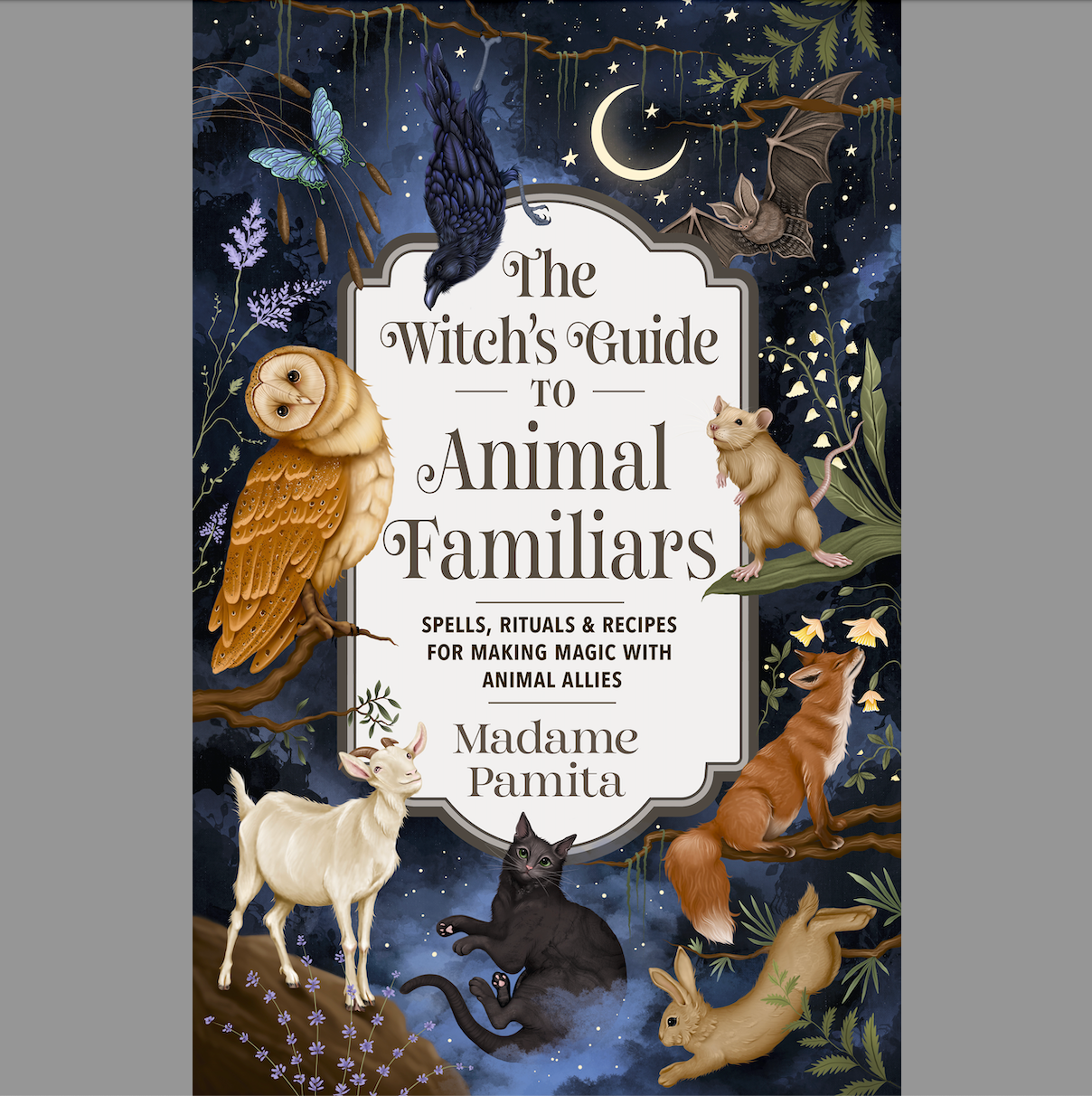 The Witch's Guide to Animal Familiars – Signed Copy