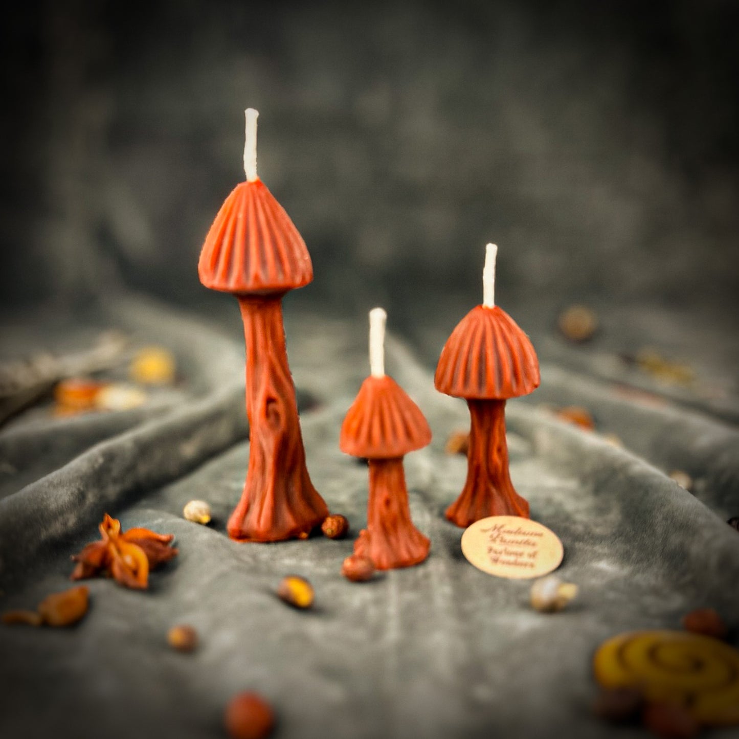 Brown Mushroom Candle Trio