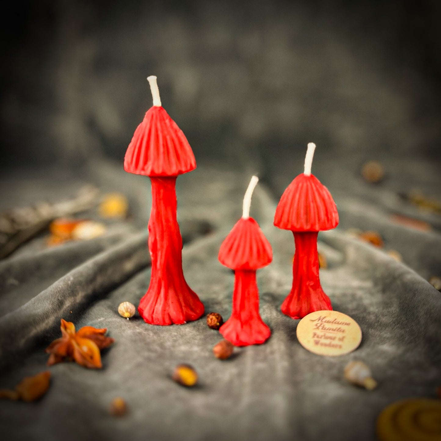 Red Enchanted Mushroom Spell Candle 