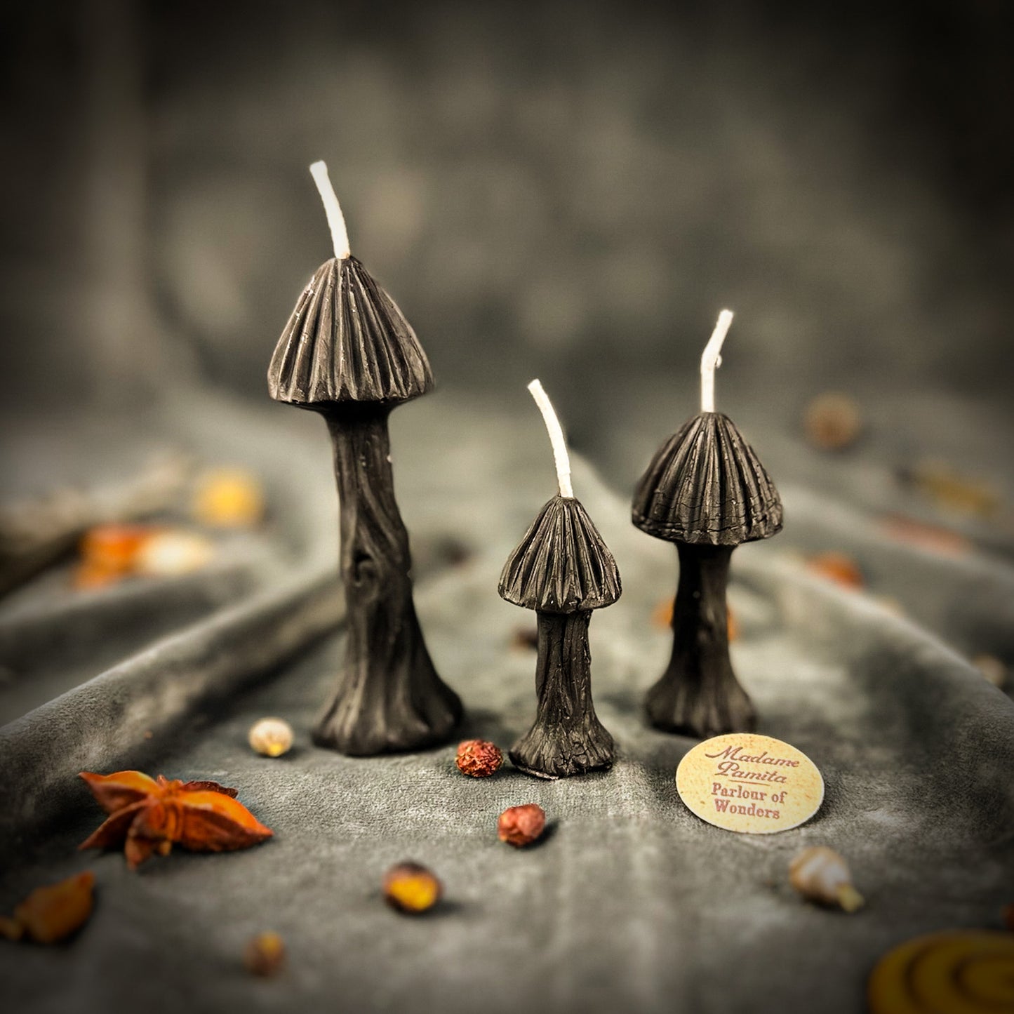 Black Mushroom Spell Candle Trio