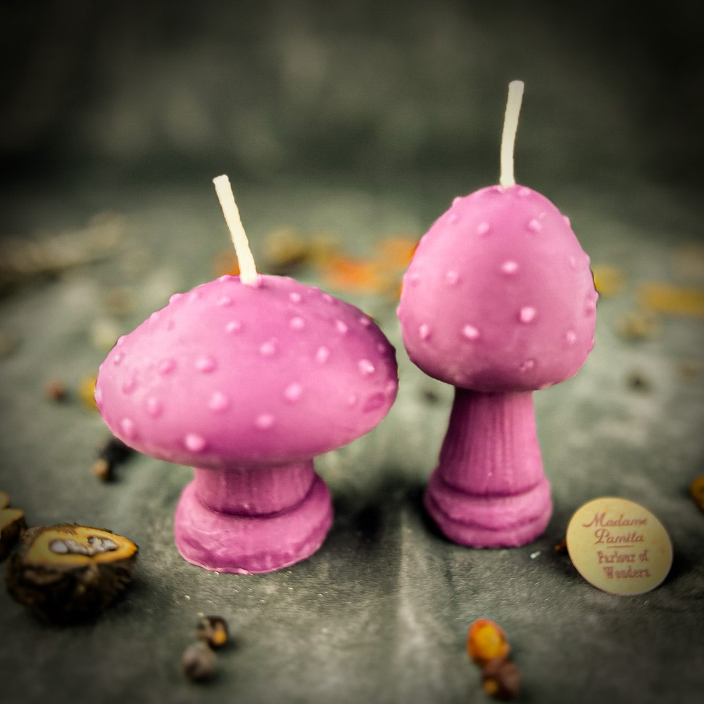 Purple Mushroom Candle Duo 