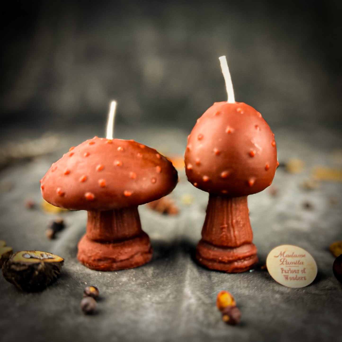Brown Mystical Mushroom Candle 
