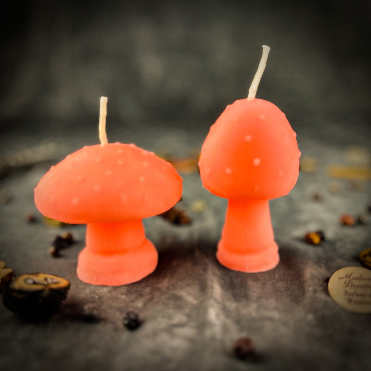 Pink Mystical Mushroom Duo 