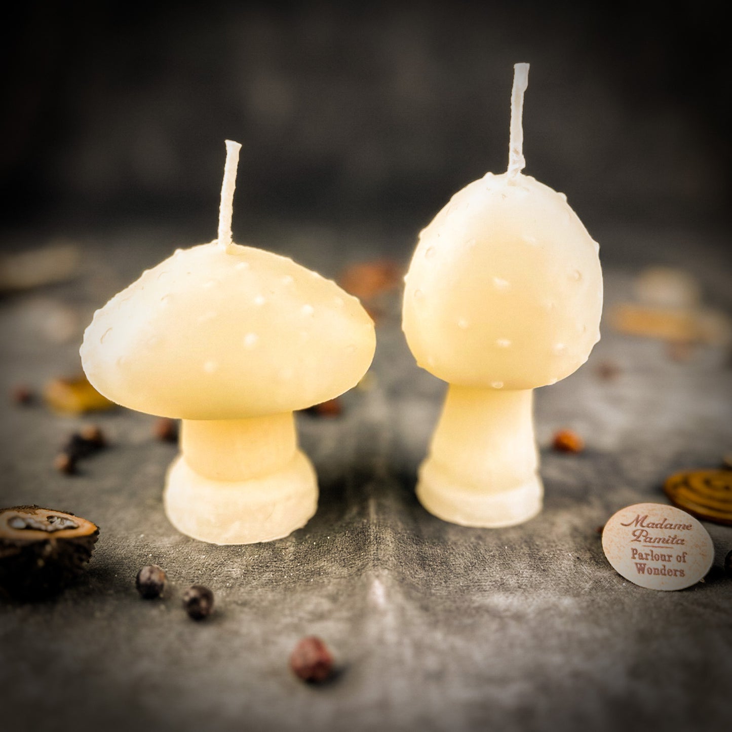 White Mushroom Spell Candle Duo 