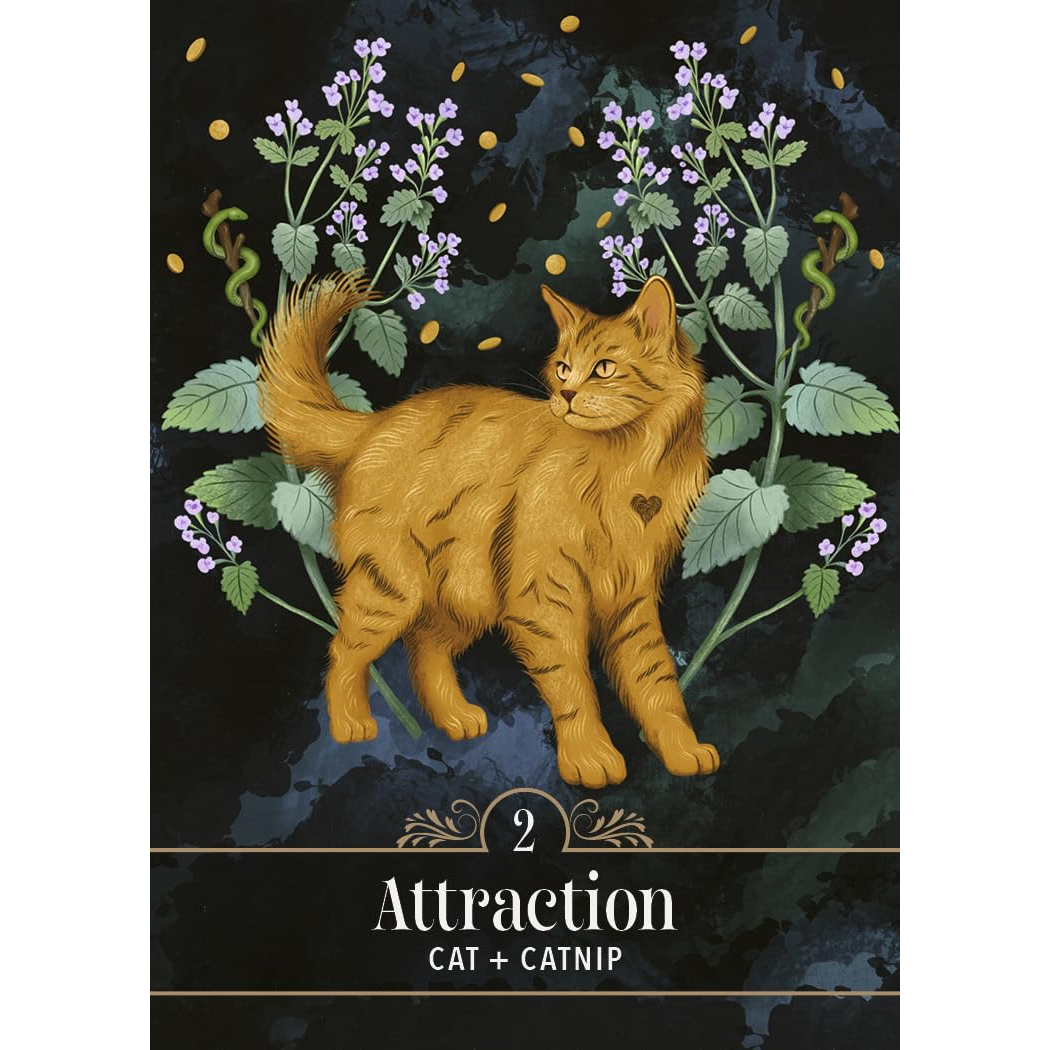 The Familiar Magic Pocket Oracle by Madame Pamita