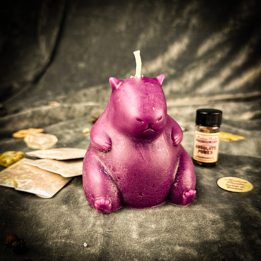 Cuddly Capybara Cooperation Candle Spell Kit - Harmony & Teamwork