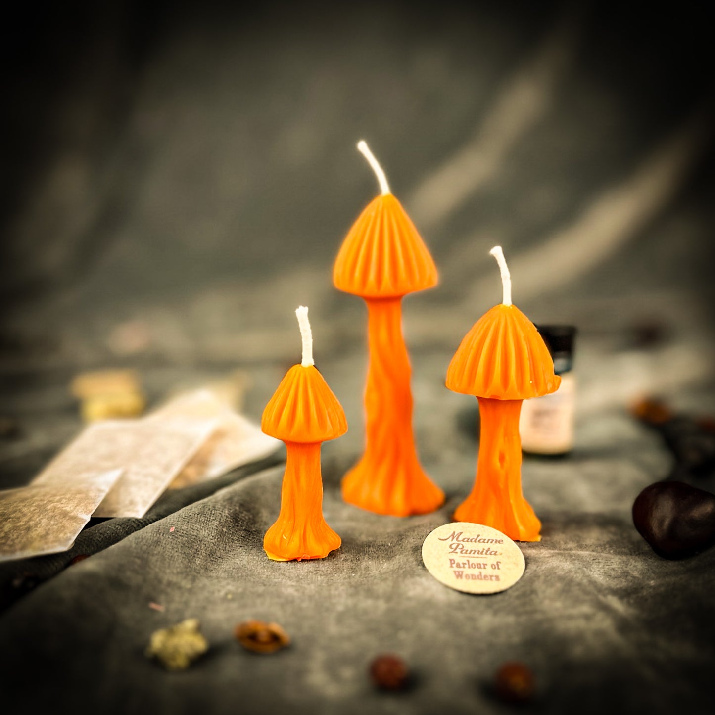 Enchanted Mushroom Candle Spell Kit - Forest Wisdom & Transformation Magic