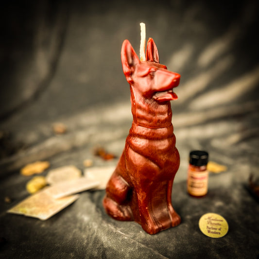 Faithful Dog Candle Spell Kit - Loyalty & Fidelity Magic
