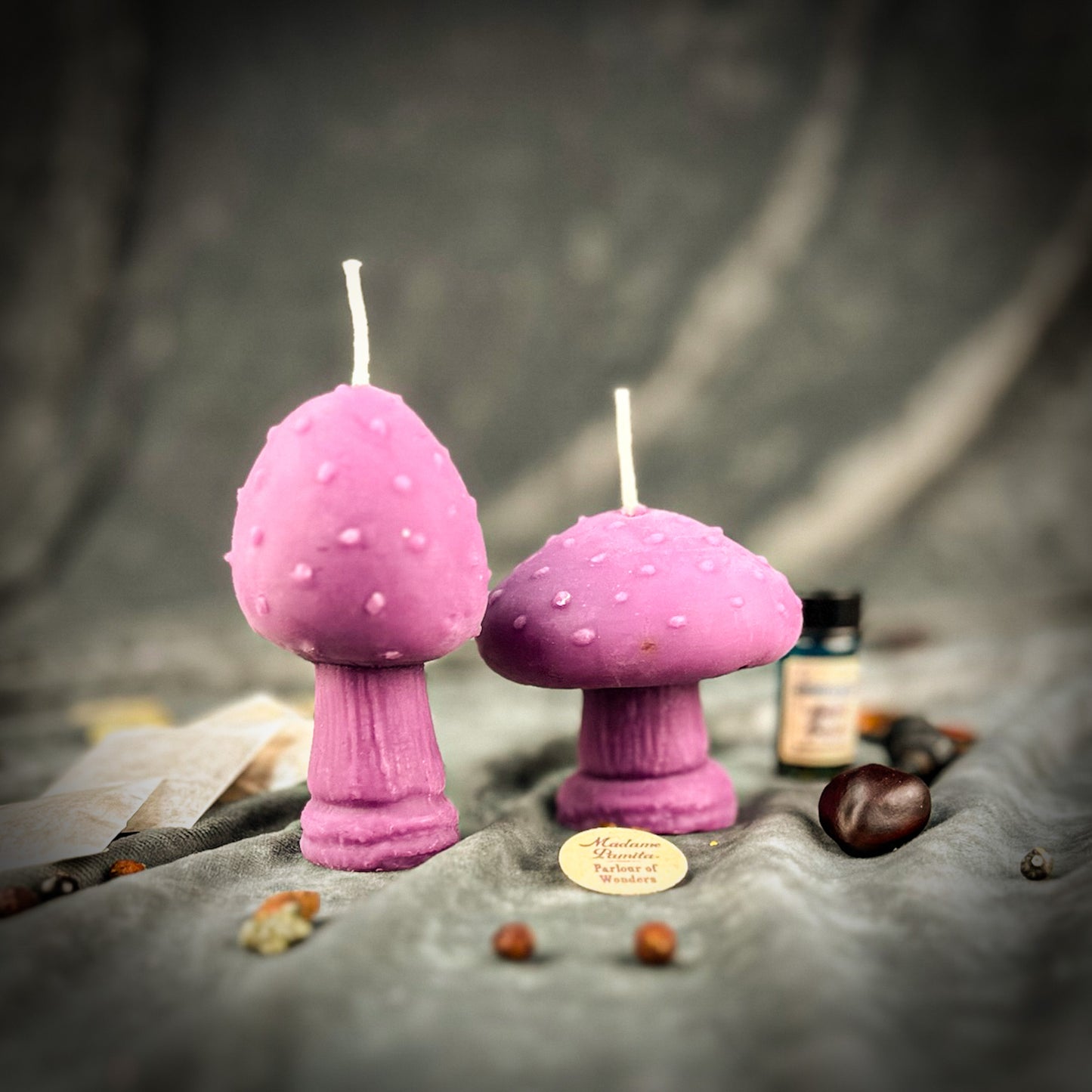 Mystical Mushroom Candle Spell Kit Duo - Forest Wisdom & Shadow Work Magic