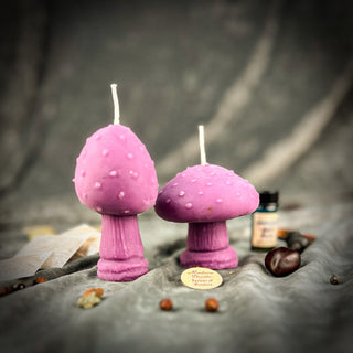 Mystical Mushroom Duo Candle Spell Kit - Forest Wisdom & Shadow Work Magic