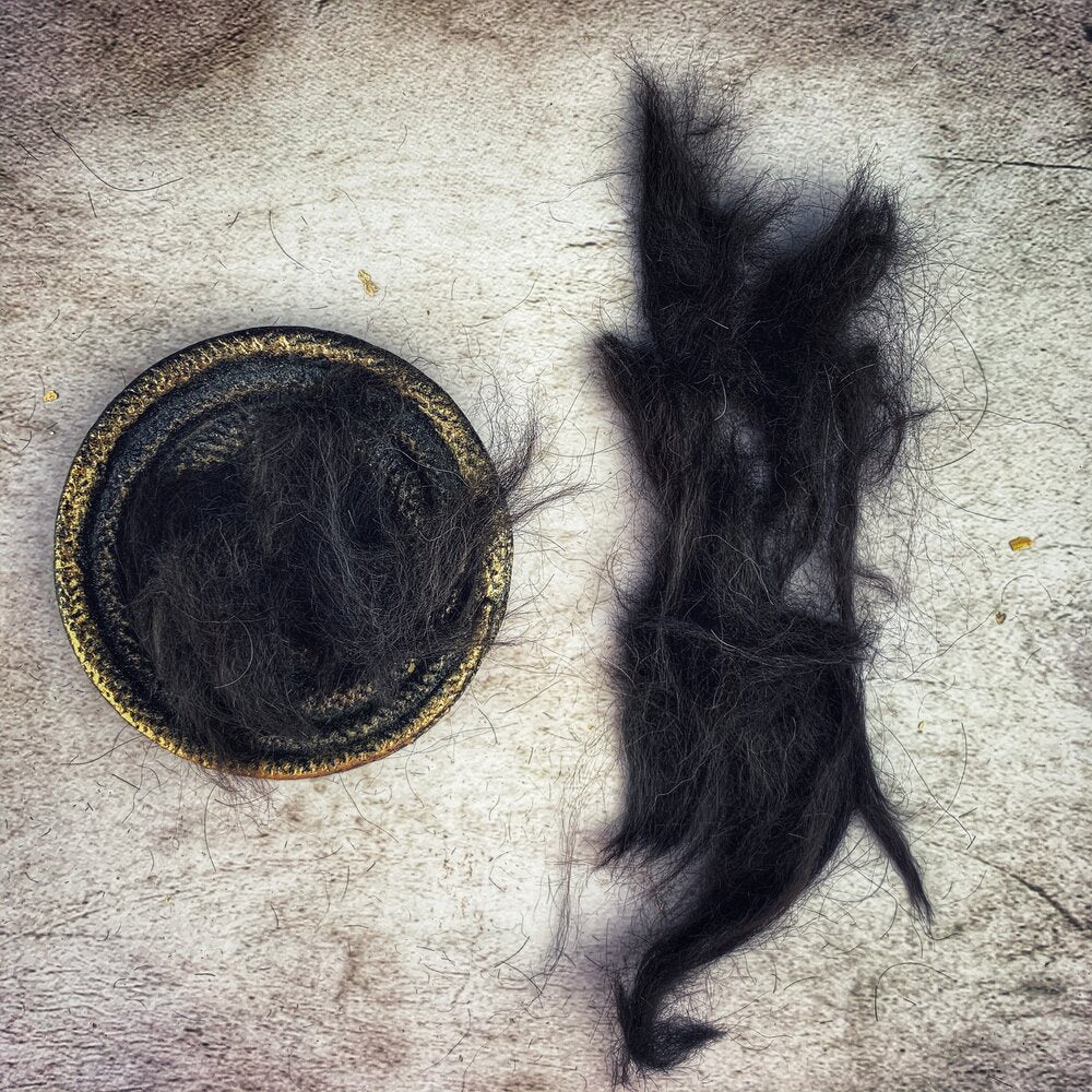 Black Dog Hair.JPG
