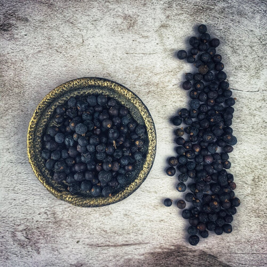 Juniper Berries.JPG