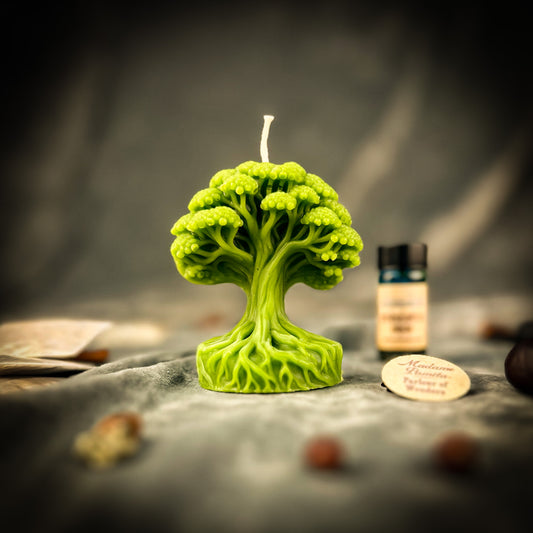 Shamanic World Tree Candle Spell Kit - Spiritual Journey & Connection