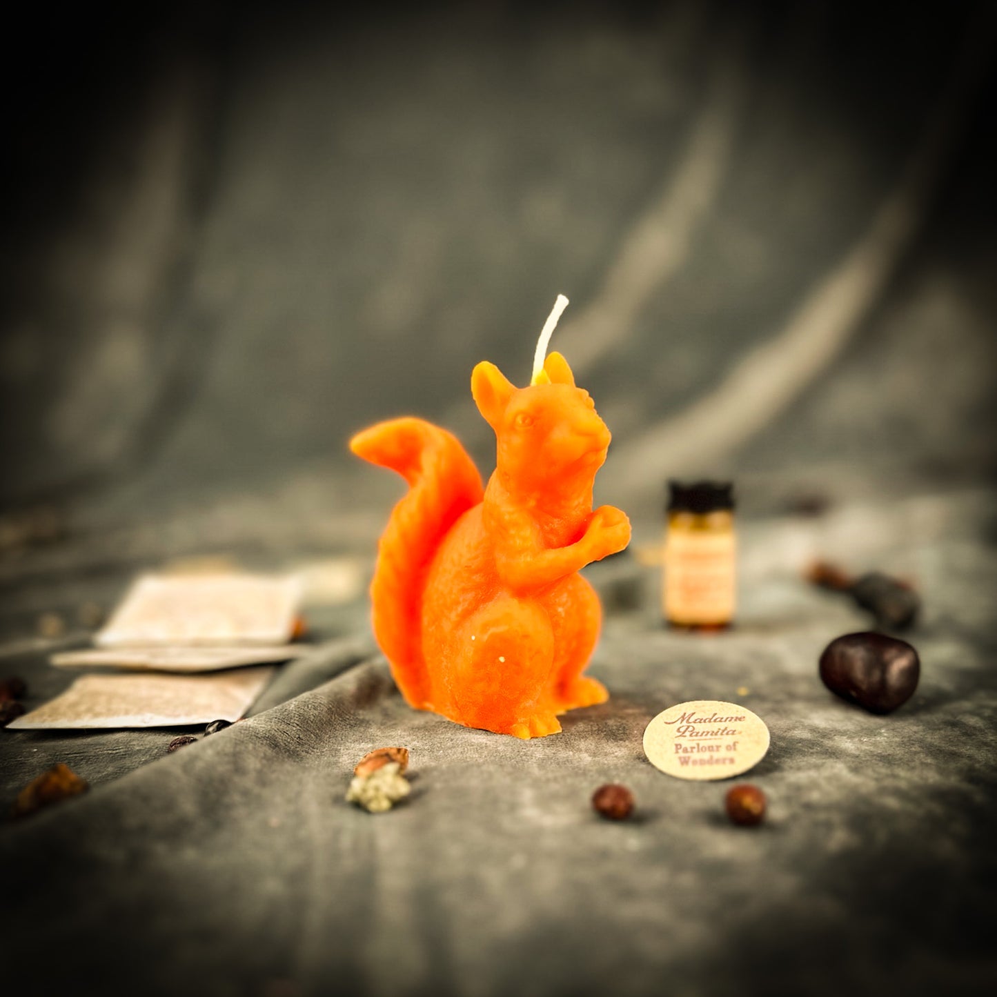 Squirrel of Abundance Candle Spell Kit - Prosperity & Wise Investments Magic