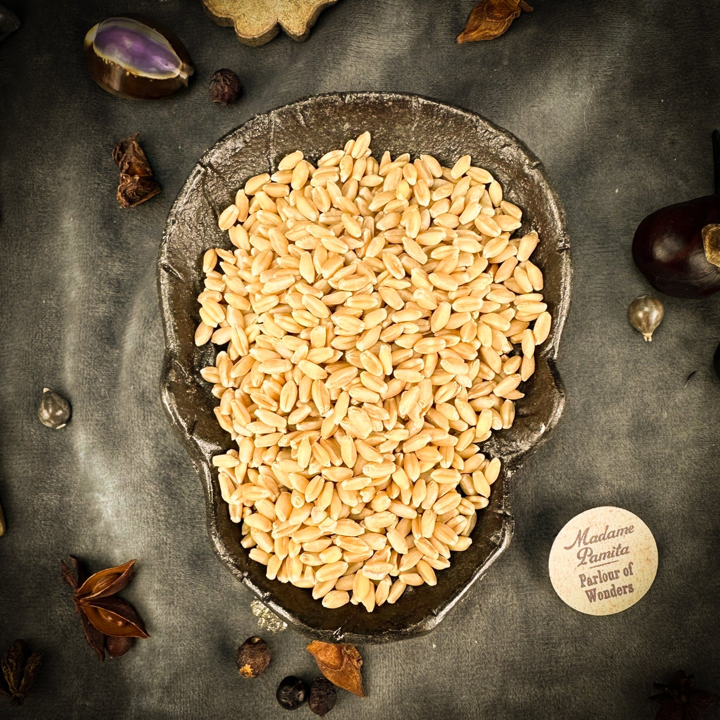 Wheat Berries - Whole Grain for Prosperity, Abundance & Fertility Magic